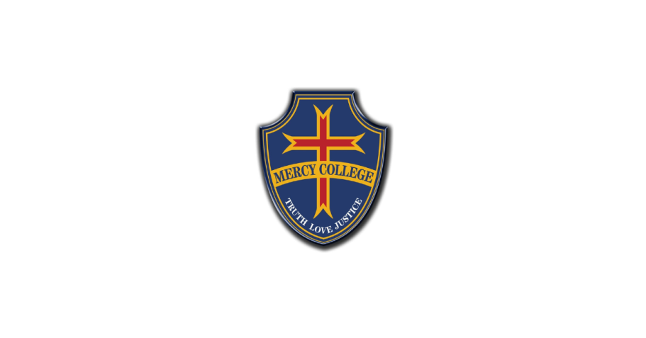 Logo featuring a shield with a red cross and blue background.